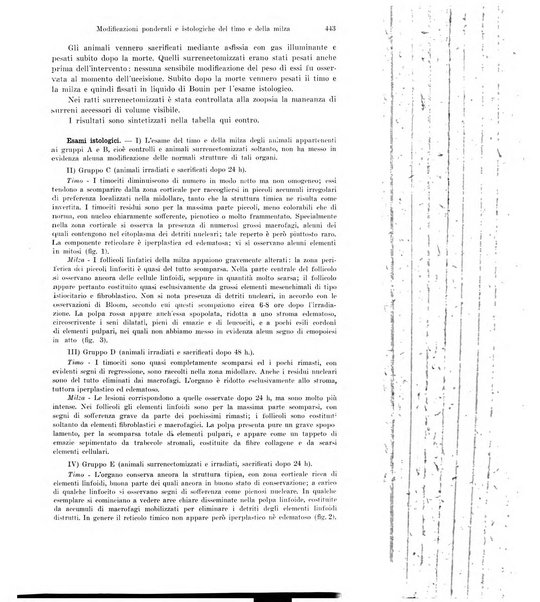 La radiologia medica rivista mensile