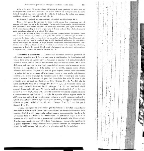 La radiologia medica rivista mensile