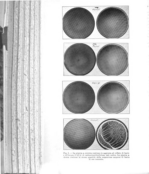 La radiologia medica rivista mensile