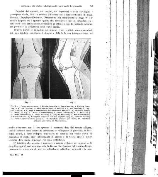 La radiologia medica rivista mensile