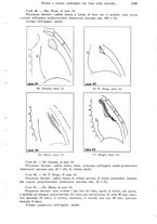 giornale/MIL0170408/1941/unico/00001265