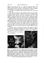 giornale/MIL0170408/1943/unico/00000213
