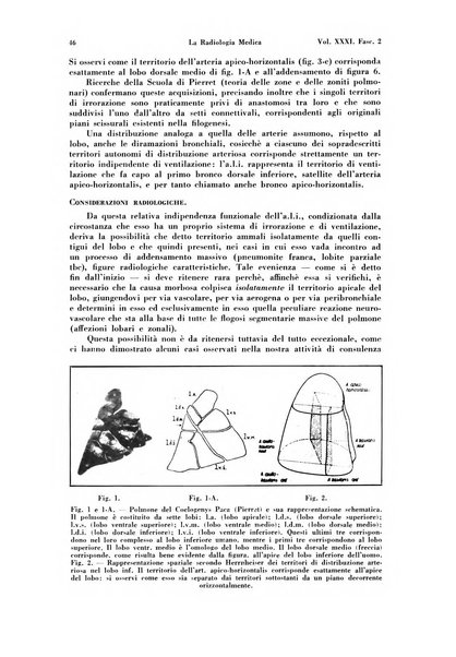 La radiologia medica rivista mensile