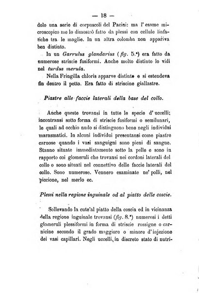 Giornale di anatomia, fisiologia e patologia degli animali