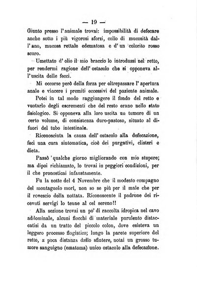 Giornale di anatomia, fisiologia e patologia degli animali