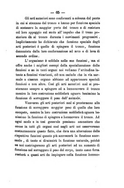 Giornale di anatomia, fisiologia e patologia degli animali