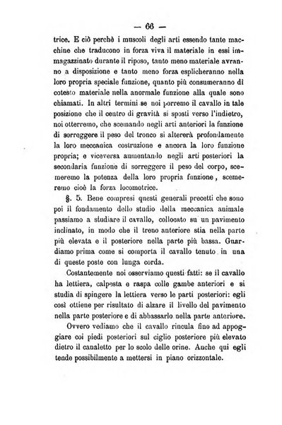 Giornale di anatomia, fisiologia e patologia degli animali