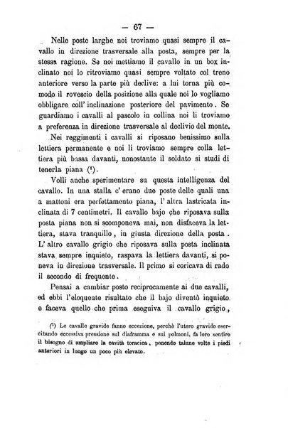 Giornale di anatomia, fisiologia e patologia degli animali