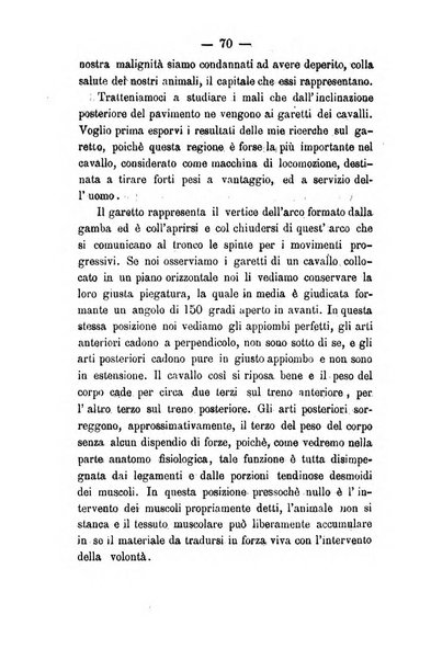 Giornale di anatomia, fisiologia e patologia degli animali