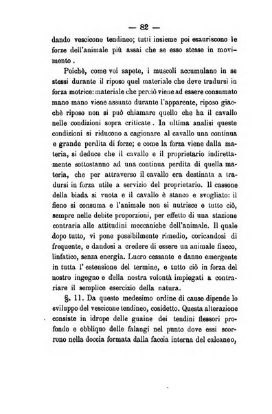 Giornale di anatomia, fisiologia e patologia degli animali