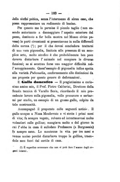 Giornale di anatomia, fisiologia e patologia degli animali