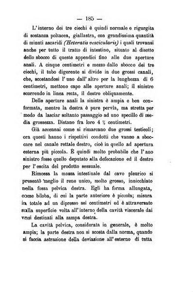 Giornale di anatomia, fisiologia e patologia degli animali