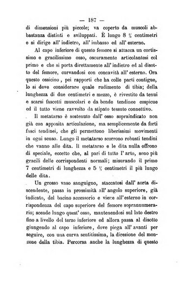 Giornale di anatomia, fisiologia e patologia degli animali