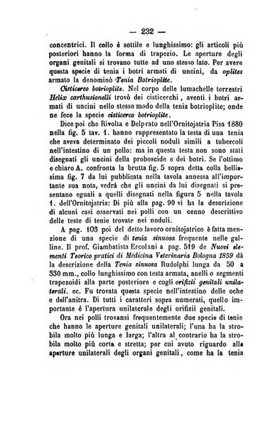 Giornale di anatomia, fisiologia e patologia degli animali