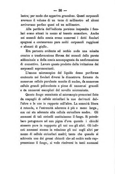 Giornale di anatomia, fisiologia e patologia degli animali