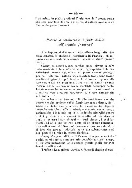 Giornale di anatomia, fisiologia e patologia degli animali