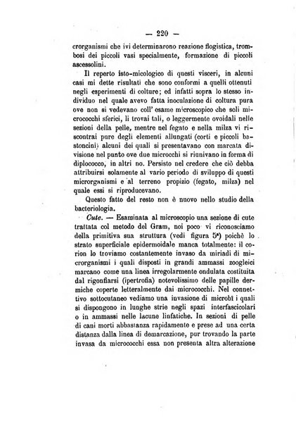 Giornale di anatomia, fisiologia e patologia degli animali