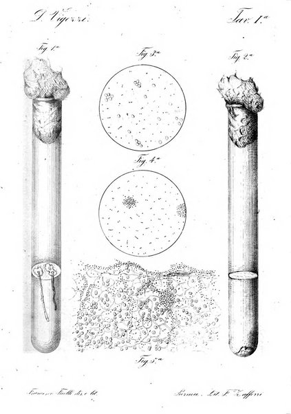 Giornale di anatomia, fisiologia e patologia degli animali