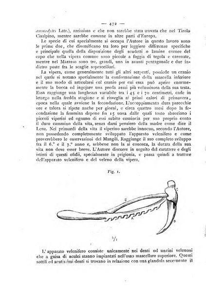 Giornale della Società italiana d'igiene