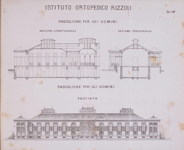 Giornale della Società italiana d'igiene