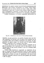 giornale/MIL0273089/1904/unico/00000531