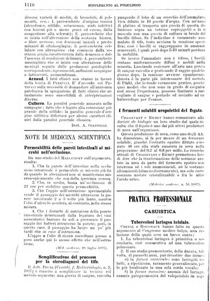 Supplemento al policlinico periodico di medicina, chirurgia ed igiene