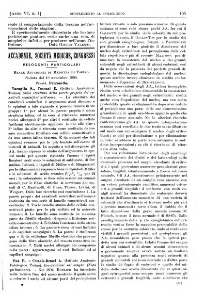 Supplemento al policlinico periodico di medicina, chirurgia ed igiene