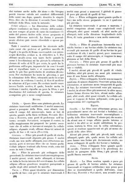 Supplemento al policlinico periodico di medicina, chirurgia ed igiene