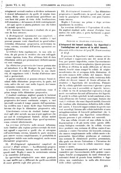 Supplemento al policlinico periodico di medicina, chirurgia ed igiene