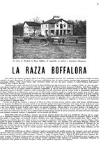 giornale/MIL0286546/1939/unico/00000105
