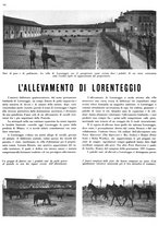 giornale/MIL0286546/1941/unico/00000138