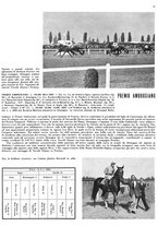 giornale/MIL0286546/1943/unico/00000035