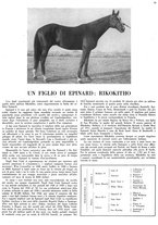 giornale/MIL0286546/1946/unico/00000083