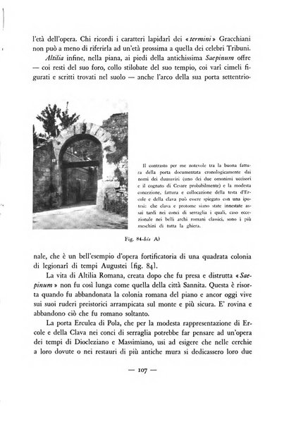 Rivista archeologica dell'antica provincia e diocesi di Como antichità ed arte