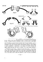 giornale/MIL0286786/1933-1934/unico/00000139