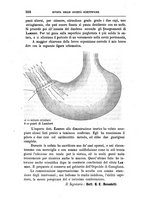 giornale/MIL0288230/1886/unico/00000528