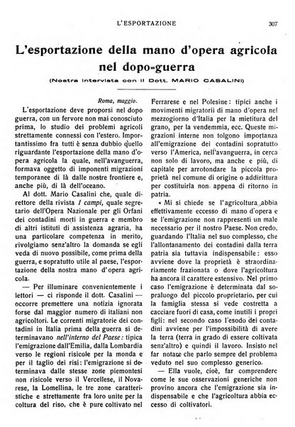 L'esportazione guida pratica per l'esportatore e l'importatore italiano