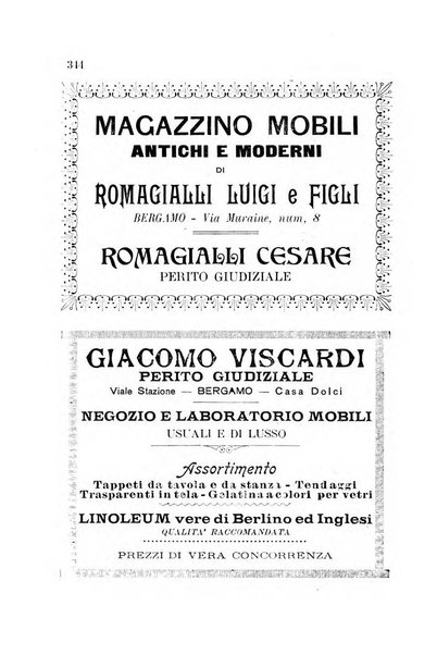 Diario guida della citta e provincia di Bergamo