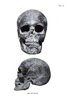 giornale/MOD0343673/1931/v.1/00000035