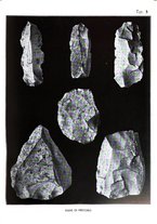 giornale/MOD0343673/1931/v.1/00000039