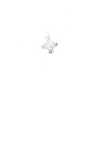 giornale/MOD0343673/1931/v.1/00000040