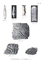 giornale/MOD0343673/1931/v.1/00000041