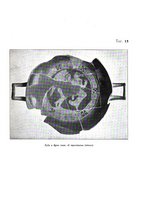 giornale/MOD0343673/1931/v.1/00000079