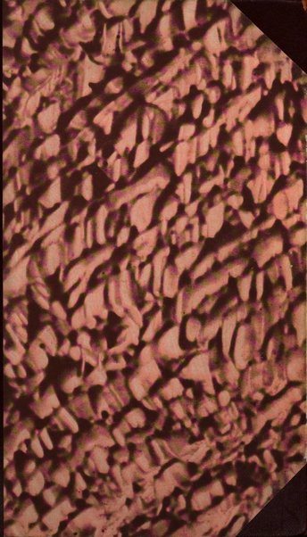 Atti e memorie del Convegno storico abruzzese-molisano