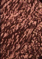 giornale/MOD0343673/1931/v.2/00000001