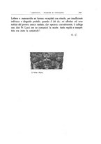 giornale/MOD0343673/1931/v.2/00000029