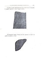 giornale/MOD0343673/1931/v.2/00000039