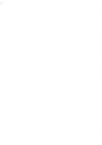 giornale/MOD0343673/1931/v.2/00000046