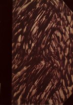 giornale/MOD0343673/1931/v.3/00000001