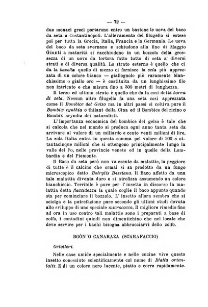 Bollettino del Comizio agrario e della Consociazione italiana pel miglioramento degli animali da cortile, frutta ed ortaggi